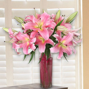 Soft Pink Lilies