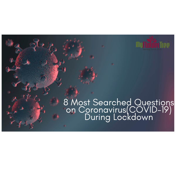 7 Most Searched Questions During Coronavirus(COVID-19)-4