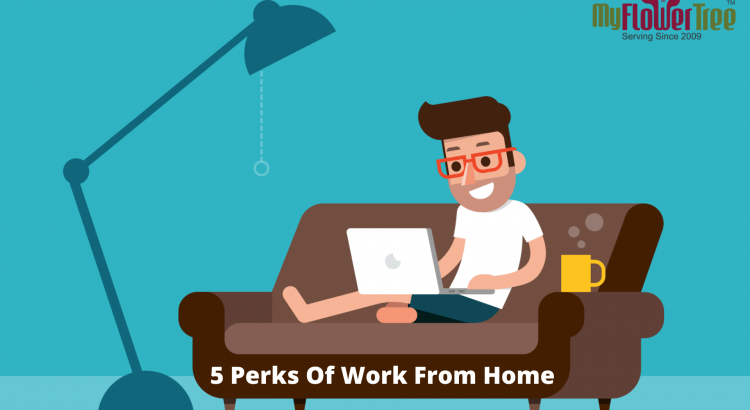 5 Perks Of Work From Home