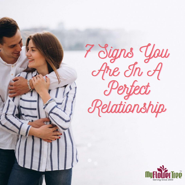 7 Signs You Are In A Perfect Relationship