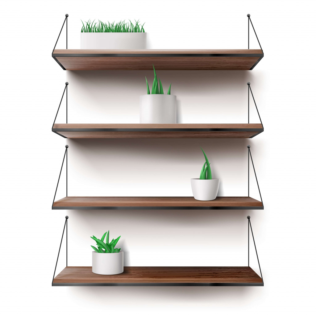 keep plants on shelf