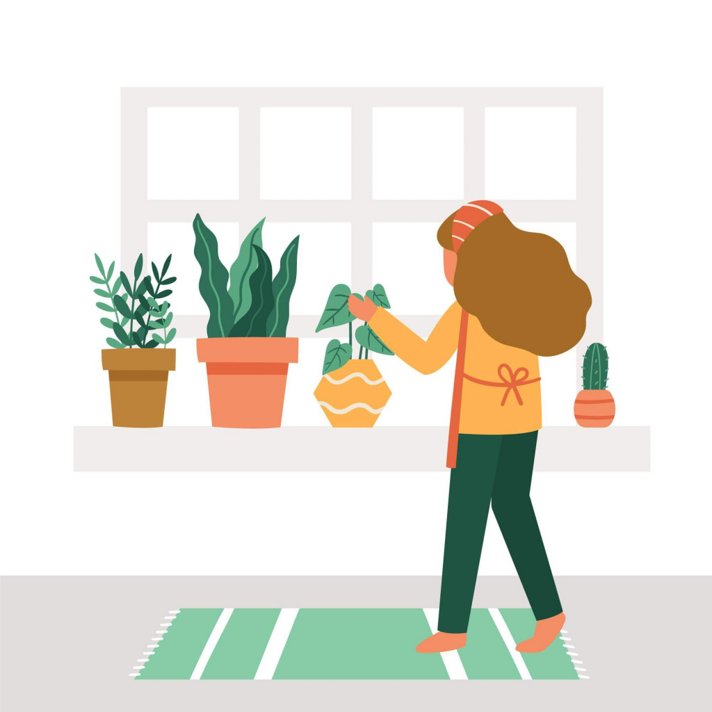 keep plants at home entrance