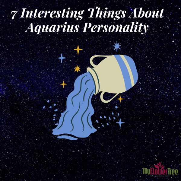 7 Interesting Things About Aquarius Personality