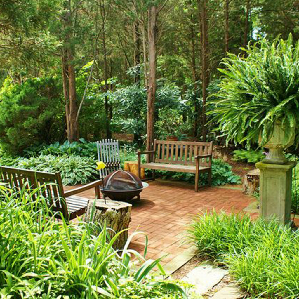 Woodland garden