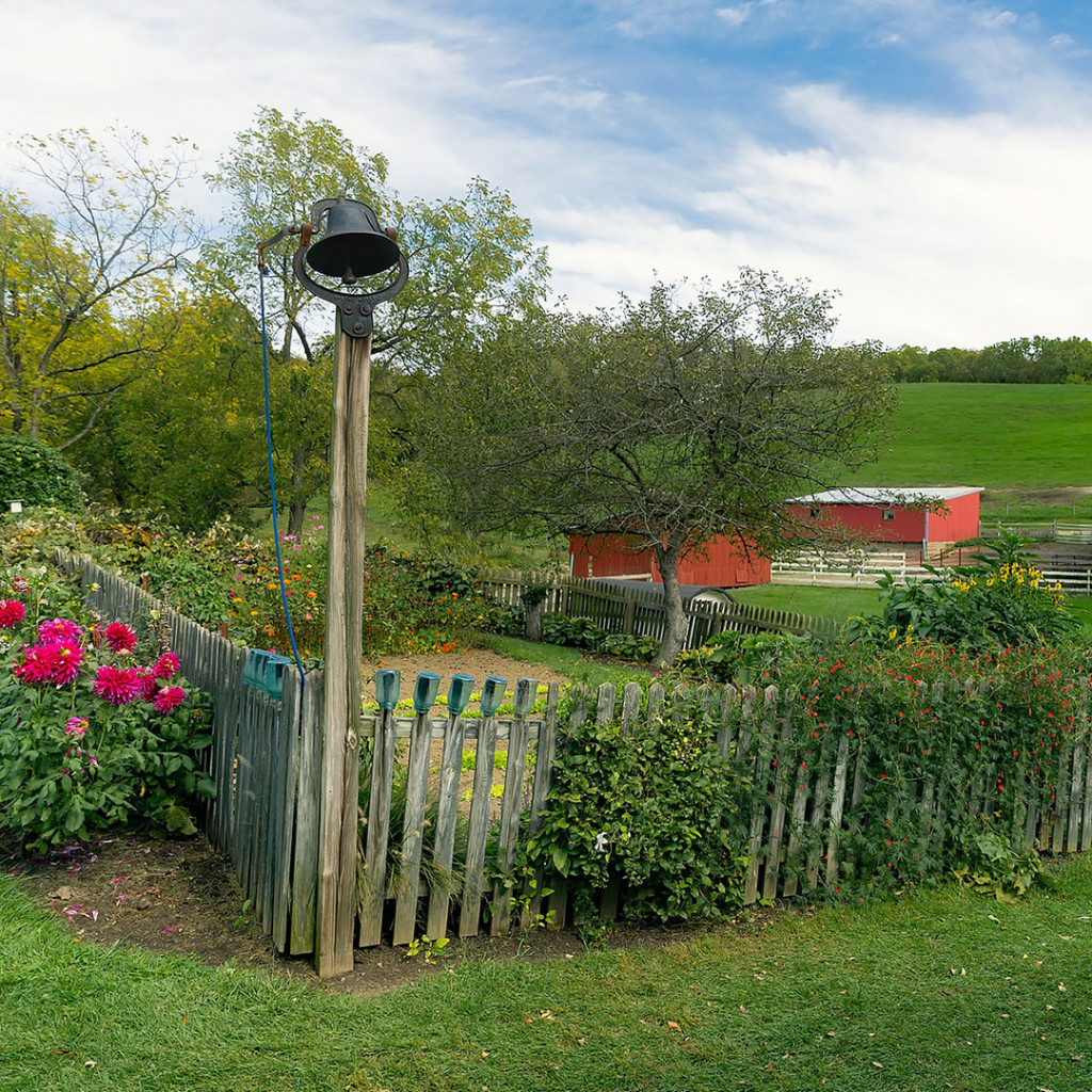 Rustic Garden