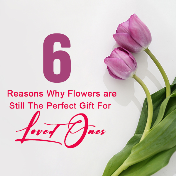 Reasons Why Flowers