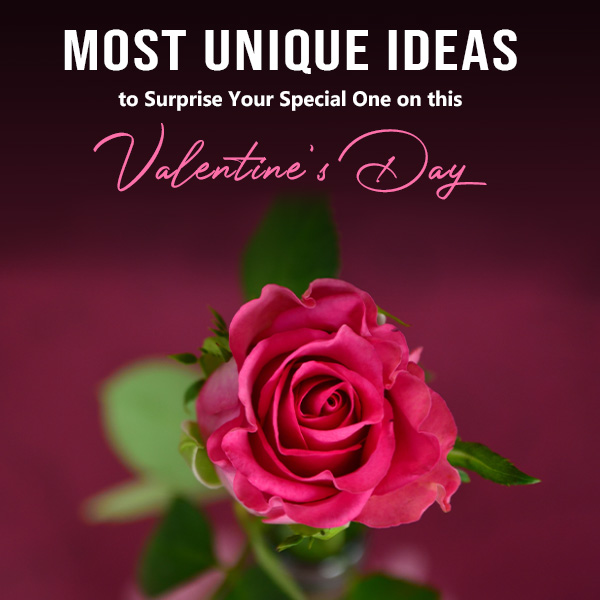 this Valentine's Day feature image