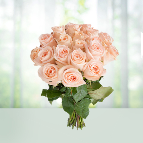 6 Beautiful Roses to Give Your Love on this Rose Day