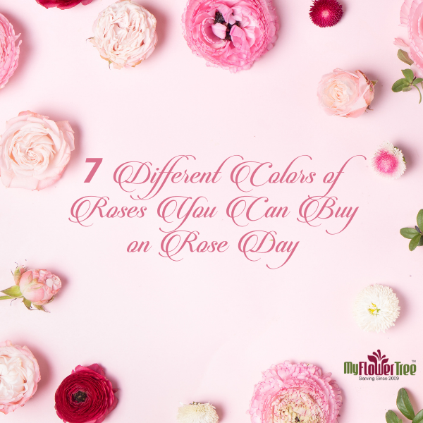 Different roses for rose day