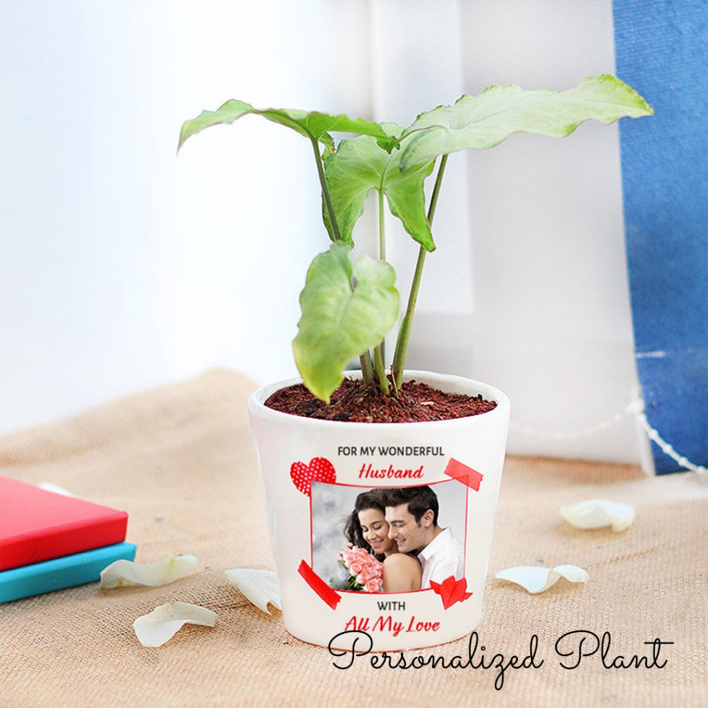 Personalized Plant