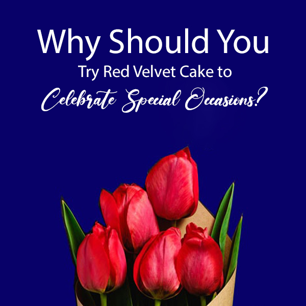 Why Should You Try Red Velvet Cake to