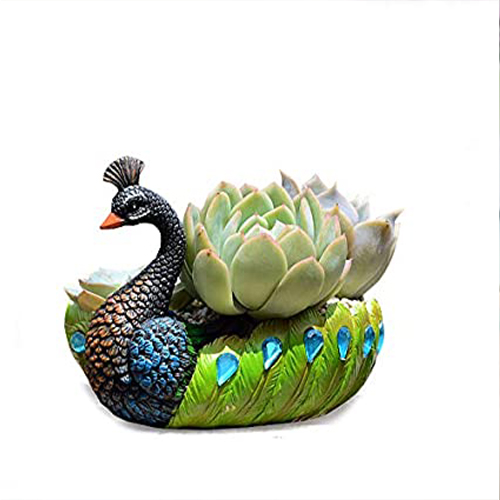 Peacock Designed Planter with Plant