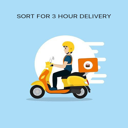 Sort For 3 Hour Delivery
