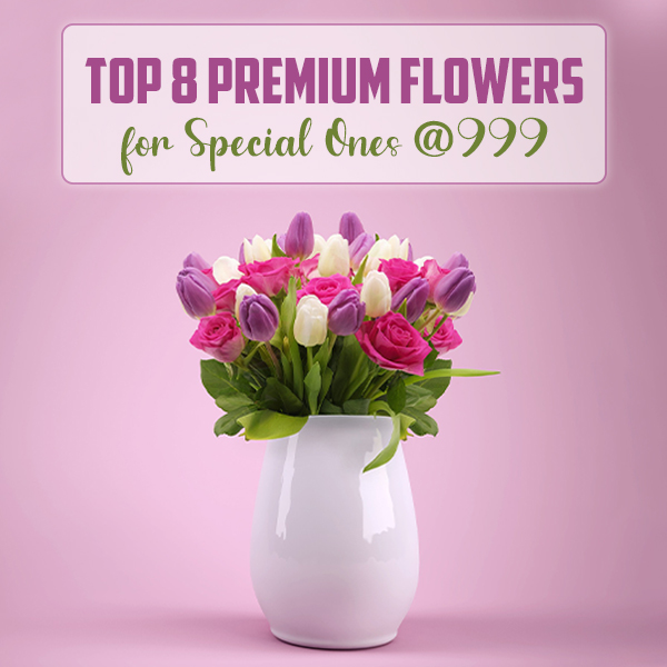 Top 8 Premium Flowers for Special Ones @999