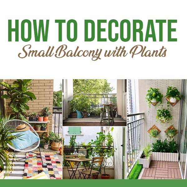 How-to-Decorate-Small-Balcony-with-Plants