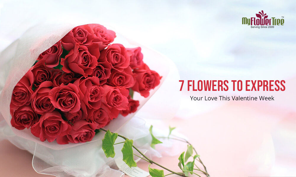 7 Flowers to Express Your Love This Valentine Week