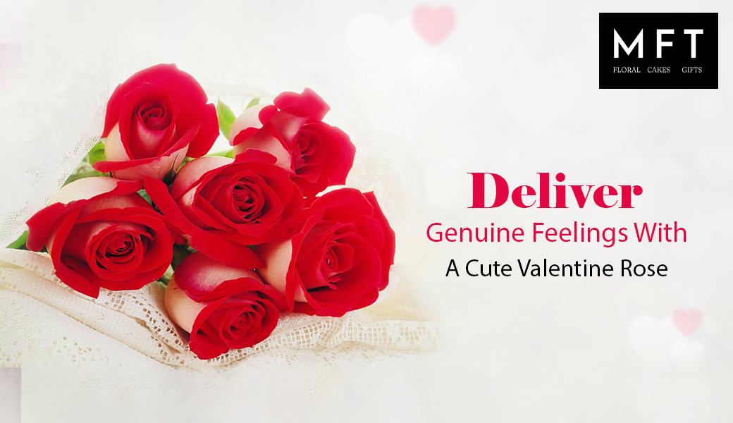 Deliver Genuine Feelings With A Cute Valentine Rose