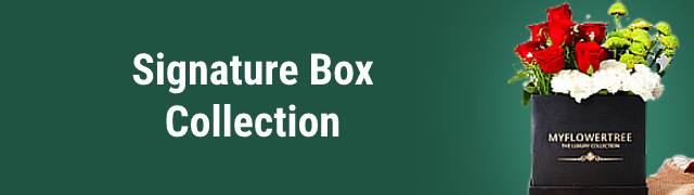 Signature Box Collection