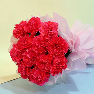 Birthday Carnations