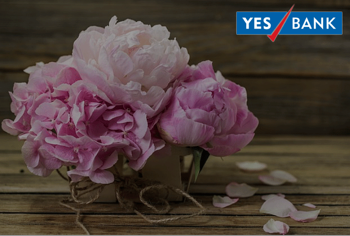 Get 20% off on Yes Bank Cards