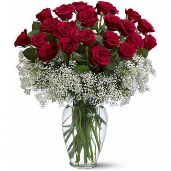 24 Red Roses surrounded by white gypsy in a Glass Vase