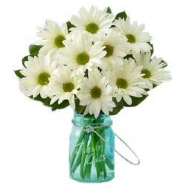 10 White Gerberas in special paper