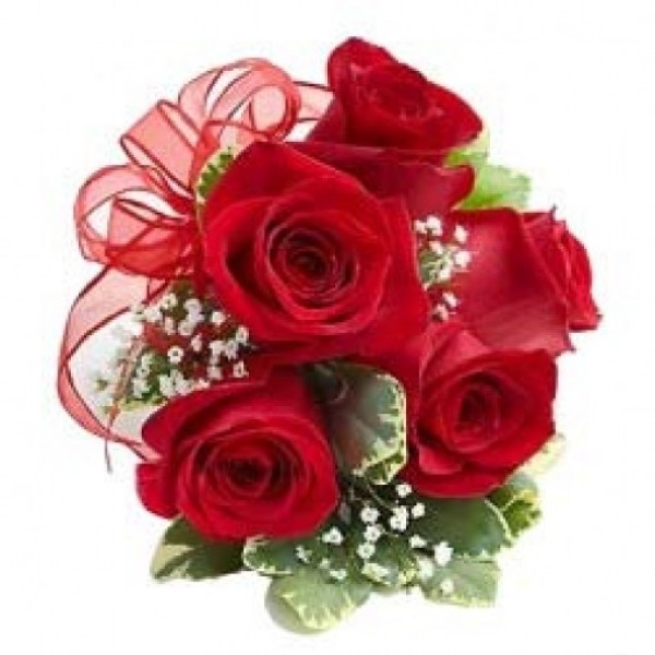 An arrangement of 5 Red Roses