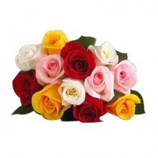12 Assorted Roses wrapped in Cellophane
