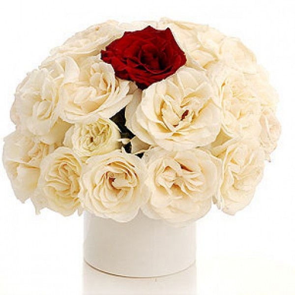 A Bunch of 20 White Roses and 1 Red Rose