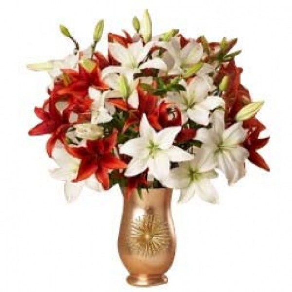 8 Oriental Lilies (Red and White) in a special paper 