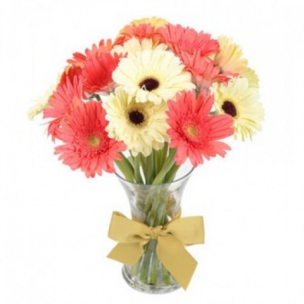 10 Pink and White Gerberas in a Glass Vase