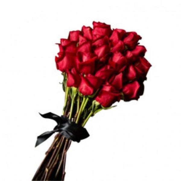 15 Long Stem Red Roses tied with Ribbon