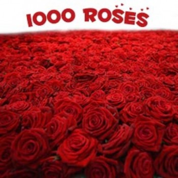 a floral arrangement 1000 Red Roses