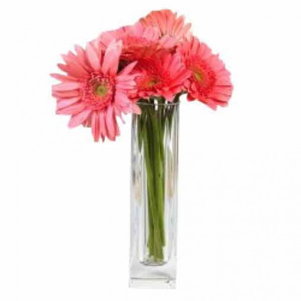 7 Pink Gerberas in a Glass Vase