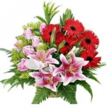 5 Red Gerberas with 6 Pink Roses and 3 Asiatic Pink Lilies in a Basket