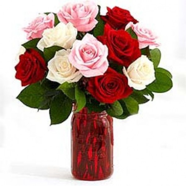 12 Pink, Red and White Roses Bunch