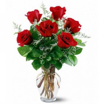 6 Red Roses in a Glass Vase