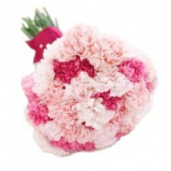 15 Peach and Pink Carnations Bouquet
