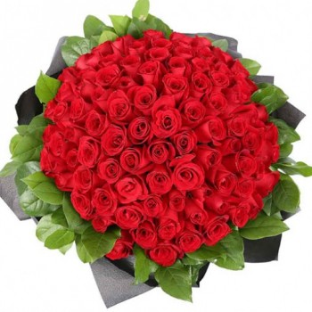 A bunch of 100 Long Stemmed Red Roses packed in special Paper.