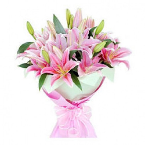 6 Asiatic Pink Lilies in Paper Packing
