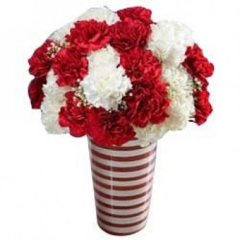 20 Red and White Carnations in a Glass Vase