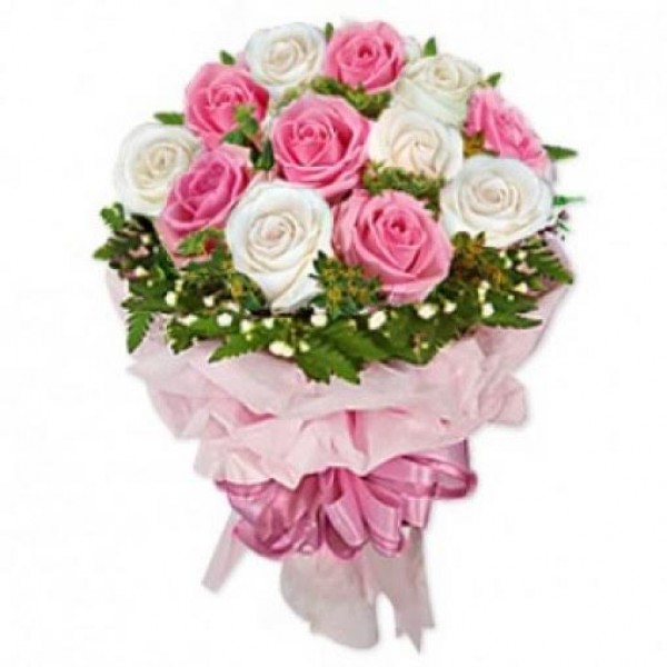 10 White and Pink Roses wrapped in special paper