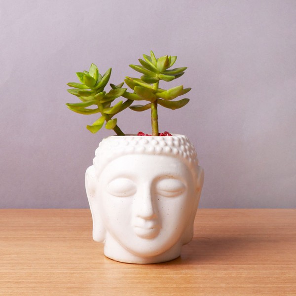 One Sedum Succulent Plant in Buddha Face Pot