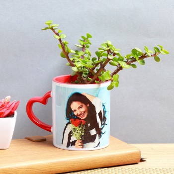 One Personalised Red Heart Handle Ceramic Mug with Jade Plant for Her
