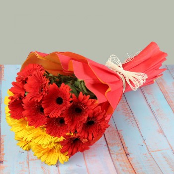 Sunshine Gerberas