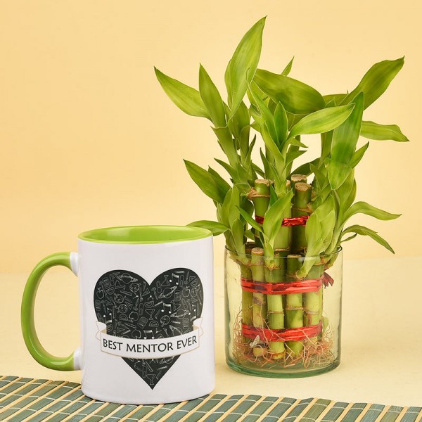 Best Mentor Mug with Two Layer Lucky Bambo