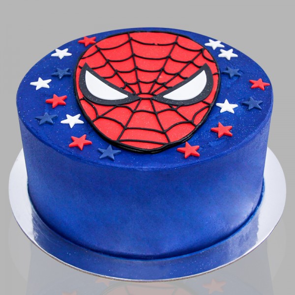 Cool DIY Spiderman Theme Cake for an 18 Year Old