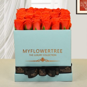 30 orange roses in blue box tied with black ribbon