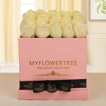 30 white roses in pink luxury box tied with black ribbon