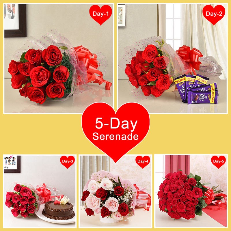 5 Days Serenade